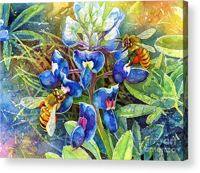 Bluebonnet Acrylic Print featuring the painting Spring Breeze by Hailey E Herrera