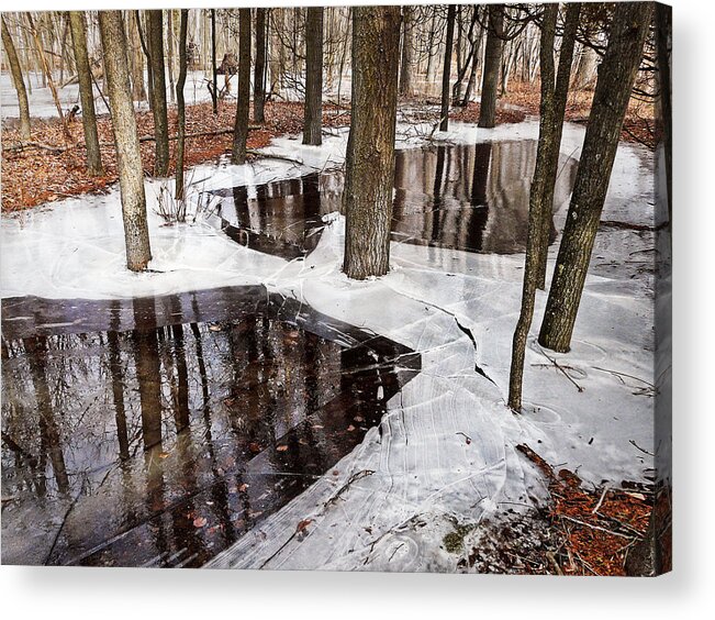 Winter Acrylic Print featuring the photograph Spring is Coming by Leda Robertson