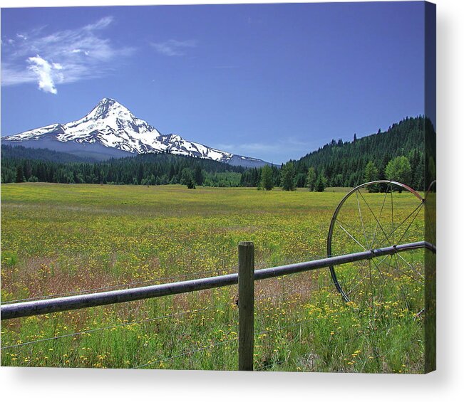 Landscape Acrylic Print featuring the photograph Spring Meadow by Arthur Fix