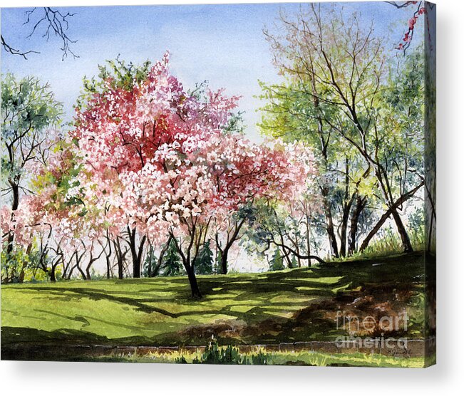 Watercolor Trees Acrylic Print featuring the painting Spring Morning by Barbara Jewell