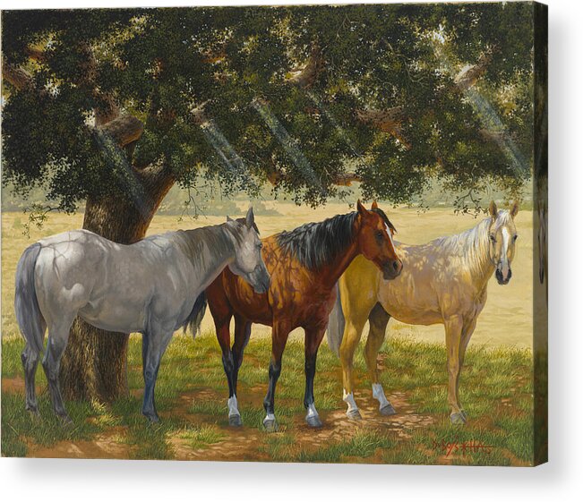 Horse Art Acrylic Print featuring the painting Summer Shade by Howard DUBOIS