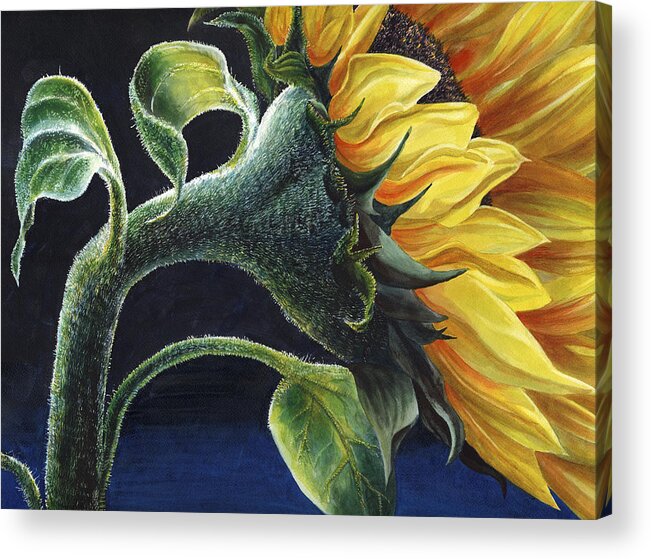 Flower Acrylic Print featuring the painting Sunflower by Karen Wright
