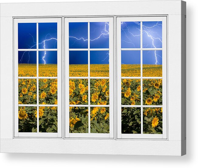 Window Acrylic Print featuring the photograph Sunflowers and Lightning 24 Pane Window View by James BO Insogna
