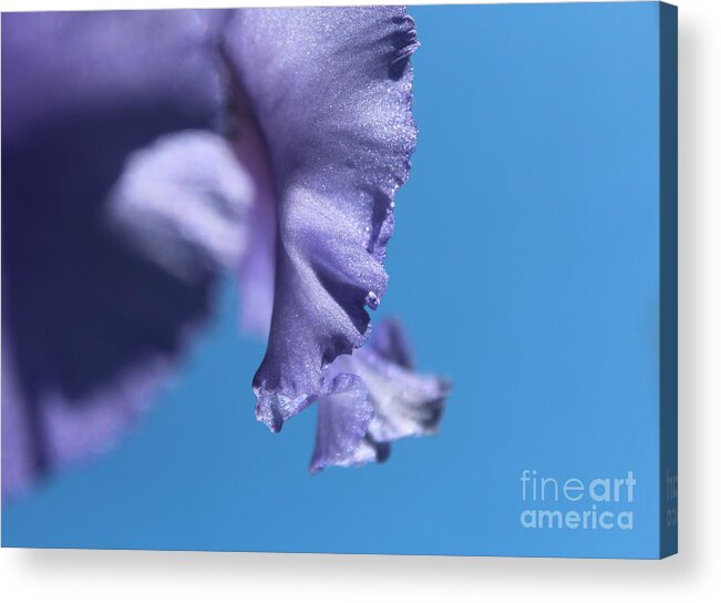 Teardrop Acrylic Print featuring the photograph Teardrop by Stacey Zimmerman