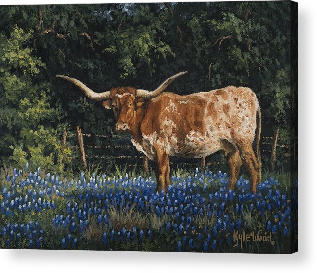 Texas Longhorn Acrylic Print featuring the painting Texas Traditions by Kyle Wood