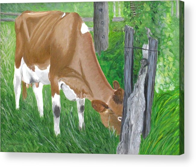 Guernsey Heifer Acrylic Print featuring the painting The grass is always greener... by Barb Pennypacker
