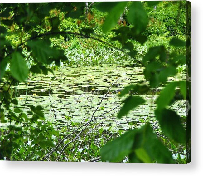 Photographs Acrylic Print featuring the photograph The opening by James McAdams