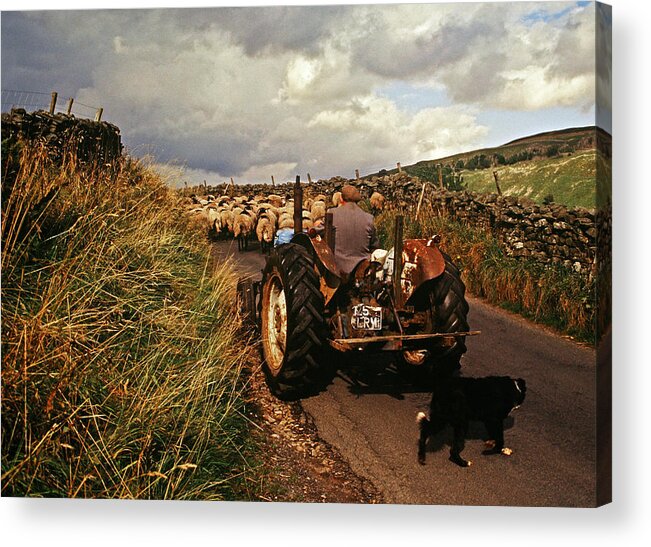 Yorkshire Acrylic Print featuring the photograph The Yorkshire Shepherd by John Topman