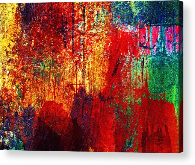 Colorful Acrylic Print featuring the photograph Untamed Colors by Prakash Ghai