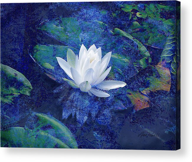 Water Lily Acrylic Print featuring the photograph Water Lily by Ann Powell