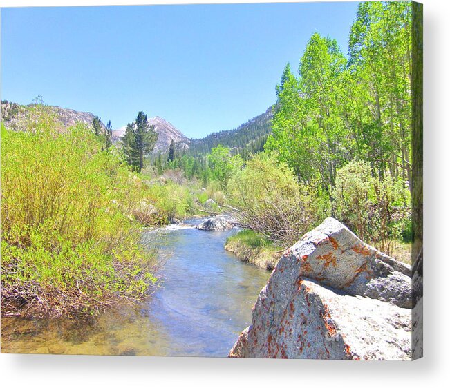 Sierras Acrylic Print featuring the photograph Way Up High by Marilyn Diaz