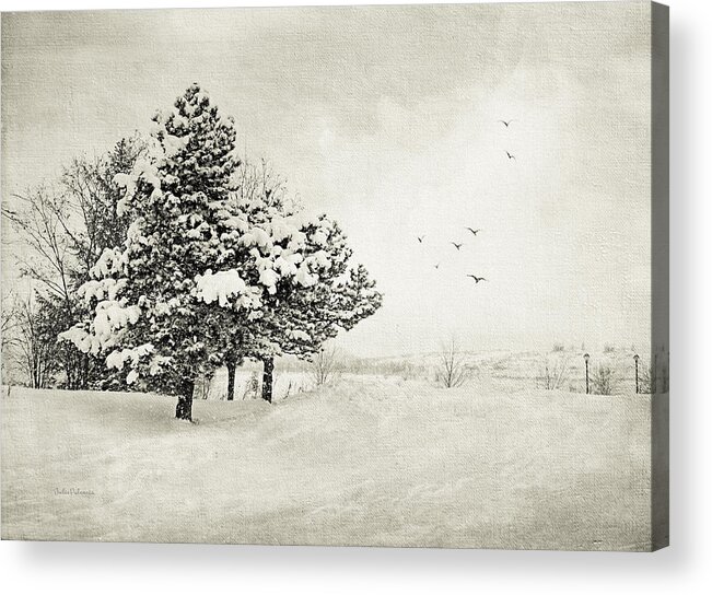 Winter Acrylic Print featuring the photograph Winter White by Julie Palencia