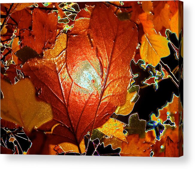  Kenneth James Acrylic Print featuring the photograph winters autumn in Pasadena by Kenneth James