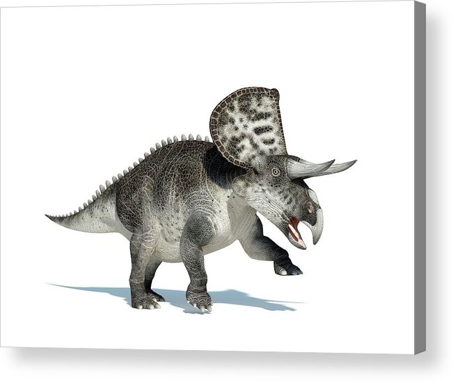 Prehistoric Era Acrylic Print featuring the digital art Zuniceratops Dinosaur, Artwork by Leonello Calvetti