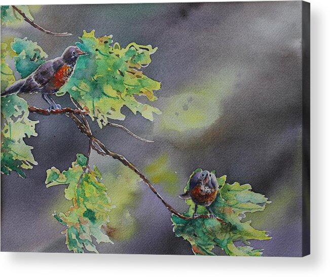 Robin Acrylic Print featuring the painting Ready for Take Off by Ruth Kamenev