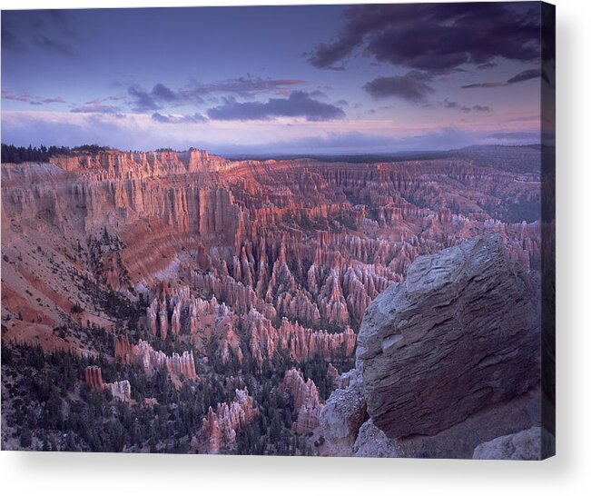 00173389 Acrylic Print featuring the photograph Amphitheater From Bryce Point Bryce by Tim Fitzharris