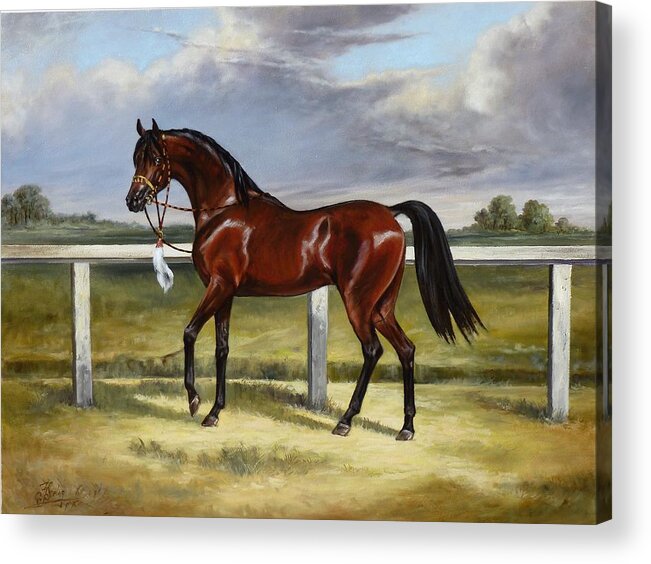 Horse Acrylic Print featuring the painting Arabian horse by Irek Szelag