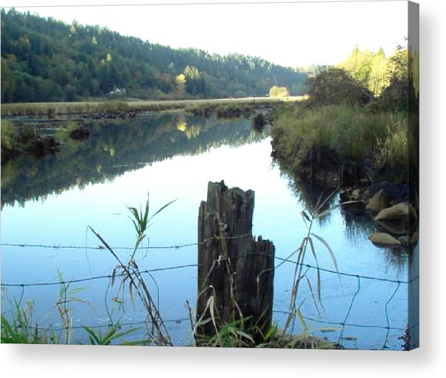 Pond Acrylic Print featuring the photograph Beavertown by A L Sadie Reneau
