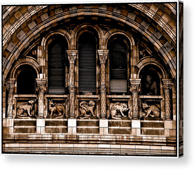 Border Acrylic Print featuring the photograph London, England - Bestiary by Mark Forte