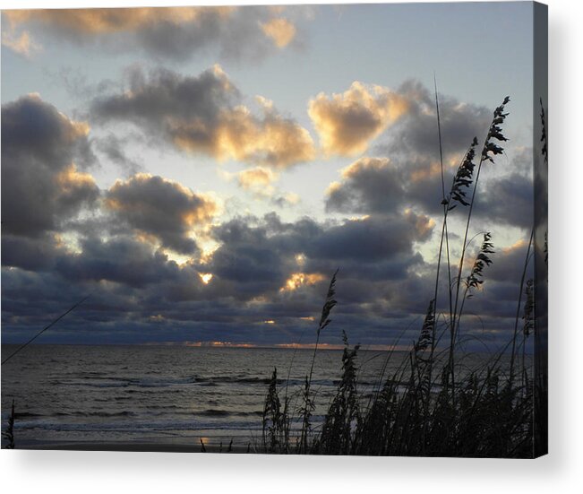 Sunrise Acrylic Print featuring the photograph Beyond The Seagrass by Kim Galluzzo