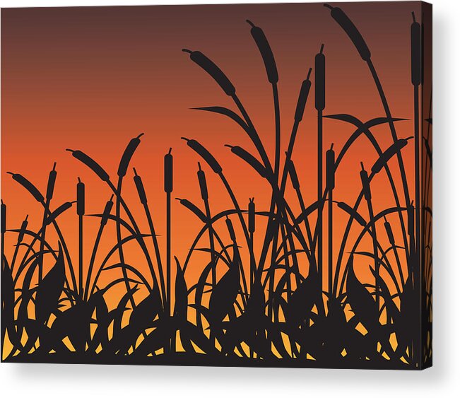 Abstract Acrylic Print featuring the digital art Bull Rushes by Kim French