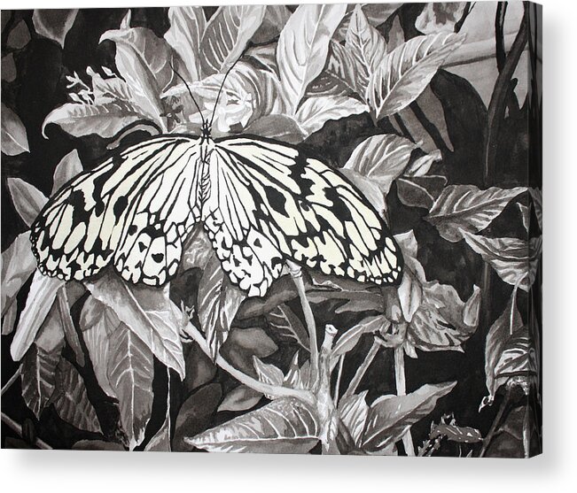 Butterfly Acrylic Print featuring the painting Callaway Paper Kite Butterfly by Beth Parrish