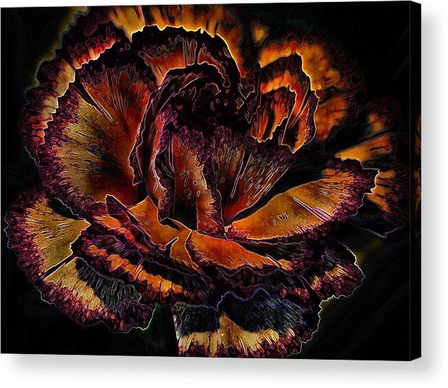 Petals Acrylic Print featuring the photograph Carinated Curves by Bill and Linda Tiepelman