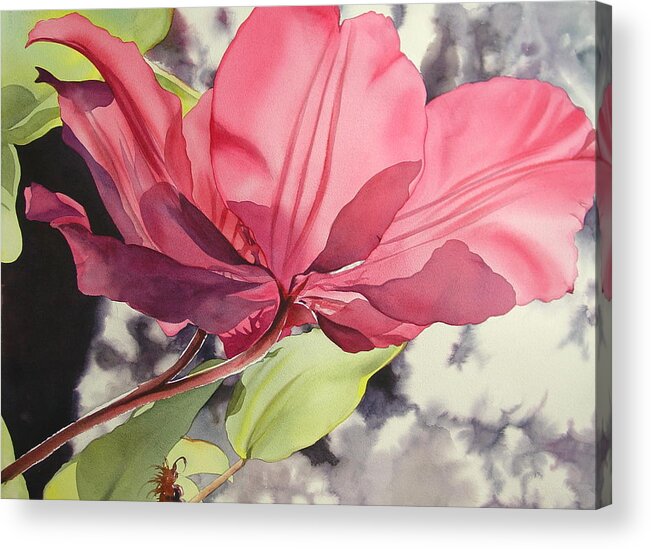 Watercolor Acrylic Print featuring the photograph Clematis by Marlene Gremillion