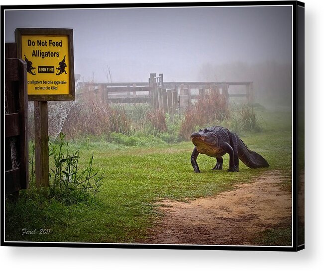 Do Not Feed Acrylic Print featuring the photograph Do Not Feed by Farol Tomson