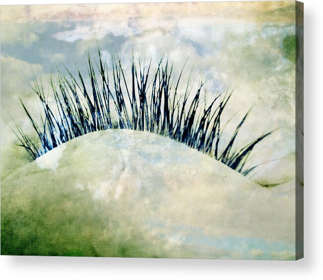 Dream Acrylic Print featuring the photograph Dreamer by Julia Wilcox