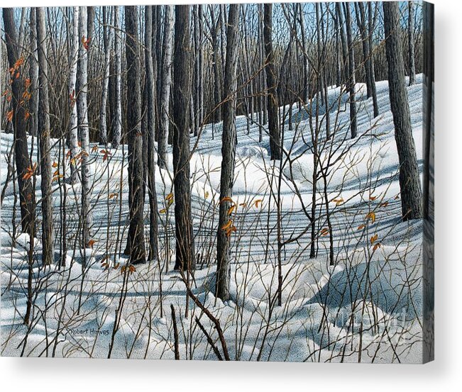 Landscape Acrylic Print featuring the painting Durham Forest by Robert Hinves