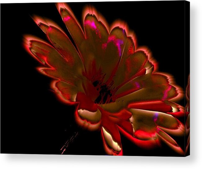 Glowing Acrylic Print featuring the photograph Femininity in Profile by Rose Szautner