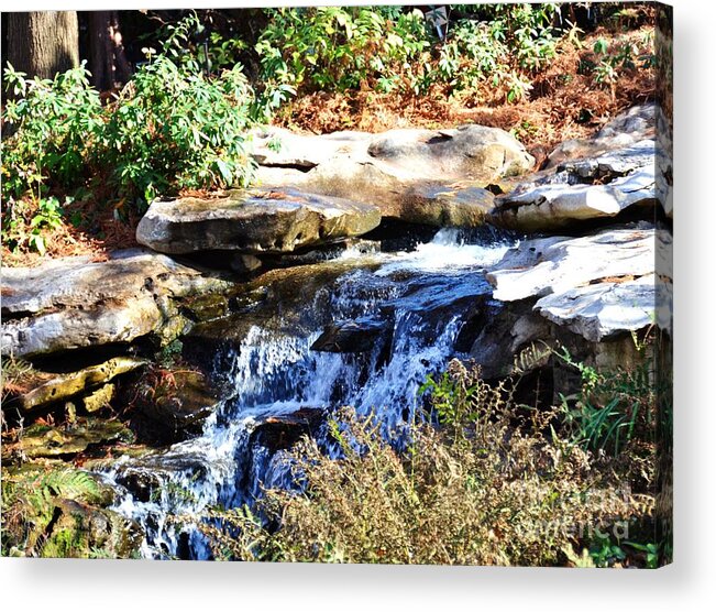 Stream Acrylic Print featuring the photograph Free to Stream by Debbi Granruth