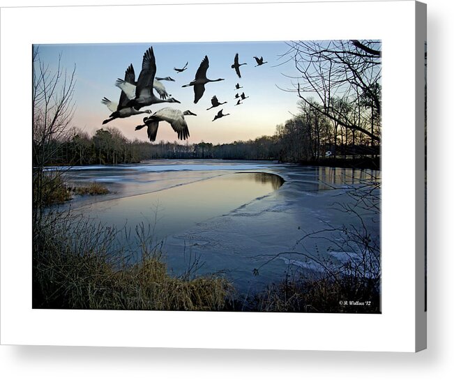 2d Acrylic Print featuring the photograph Freezing Landscape by Brian Wallace