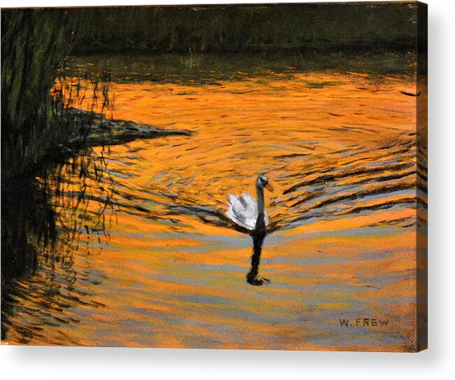 Swan Acrylic Print featuring the painting Furnace Brook resident by William Frew