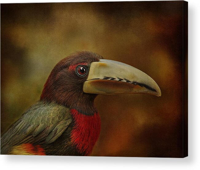 Birds Acrylic Print featuring the photograph Green Acari by Pat Abbott