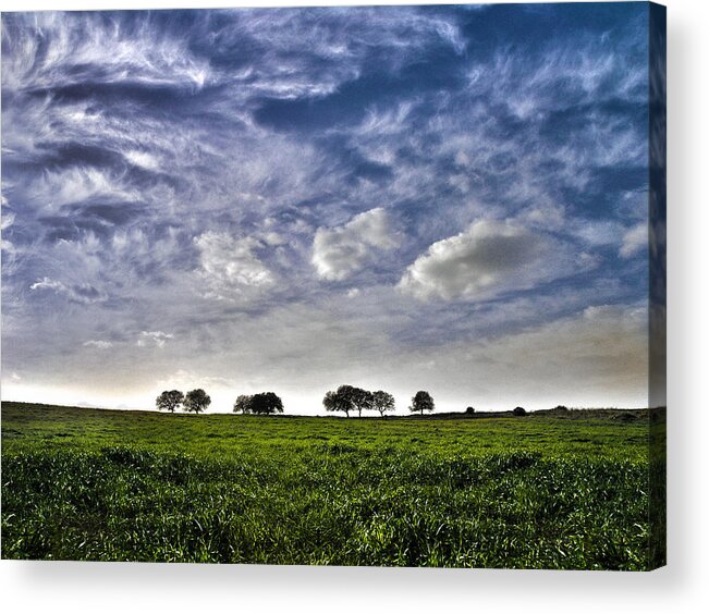 Green Fields Acrylic Print featuring the photograph Green Fields And Blue Sky by Meir Ezrachi