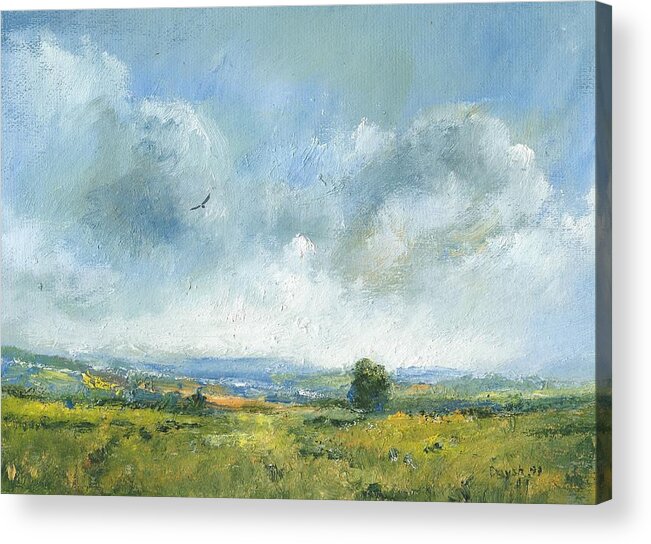Landscape Painting Acrylic Print featuring the painting Hawk over the Yar valley by Alan Daysh