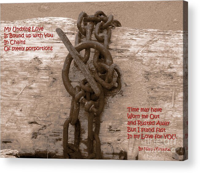 Scene Acrylic Print featuring the photograph Love Knot by Mary Mikawoz