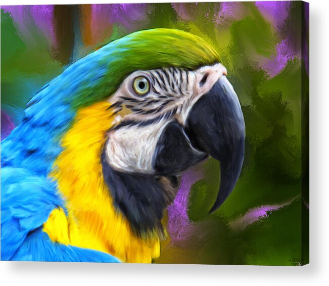 Parrot Acrylic Print featuring the painting Macaw by Dominic Piperata