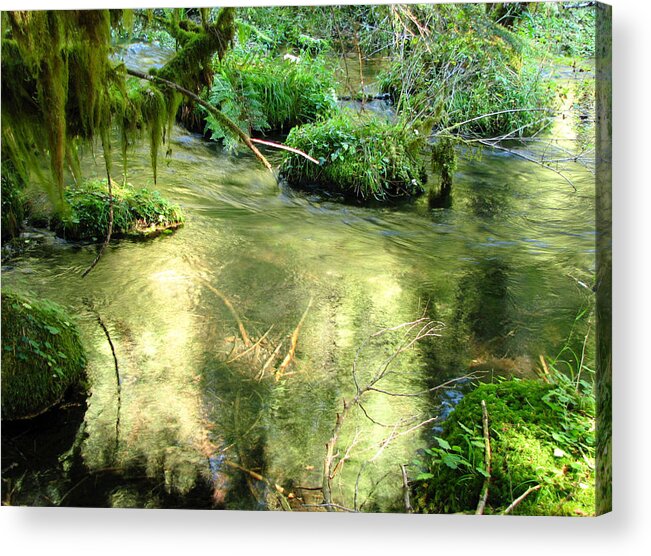 Water Acrylic Print featuring the photograph McKenzie Pool by Lora Fisher