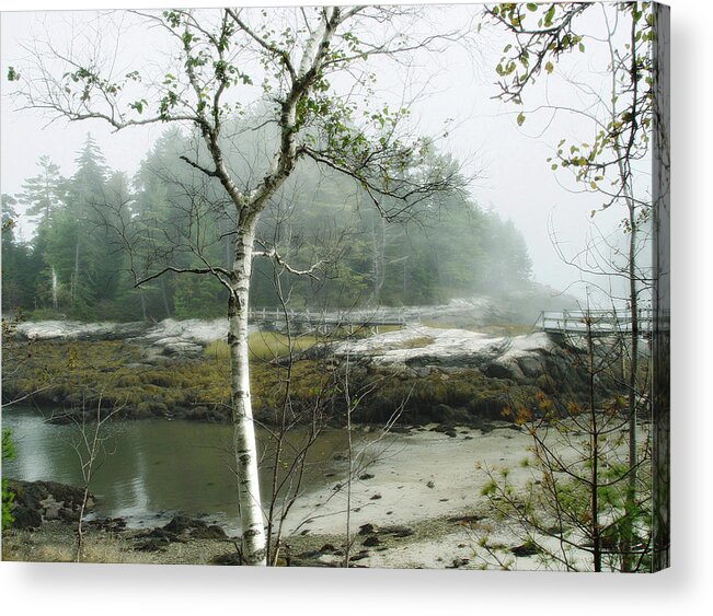 Landscape Acrylic Print featuring the photograph Misty Morning by Marilyn Marchant