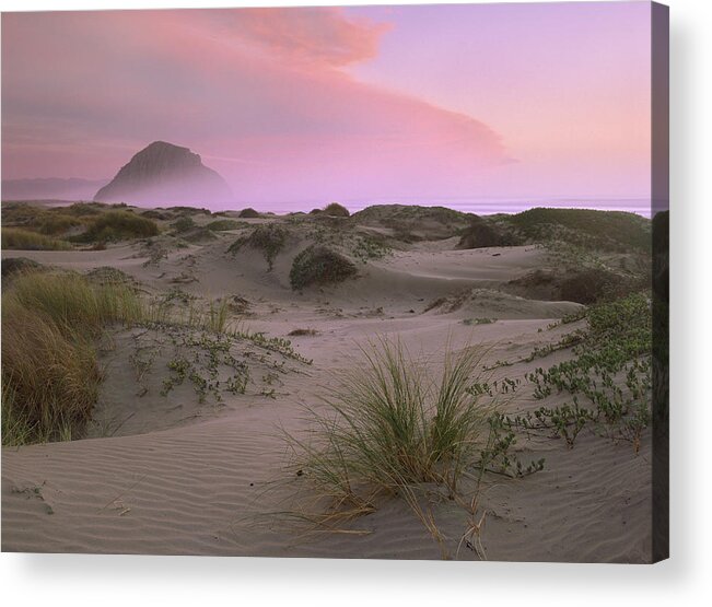 00176695 Acrylic Print featuring the photograph Morro Rock At Morro Bay California by Tim Fitzharris