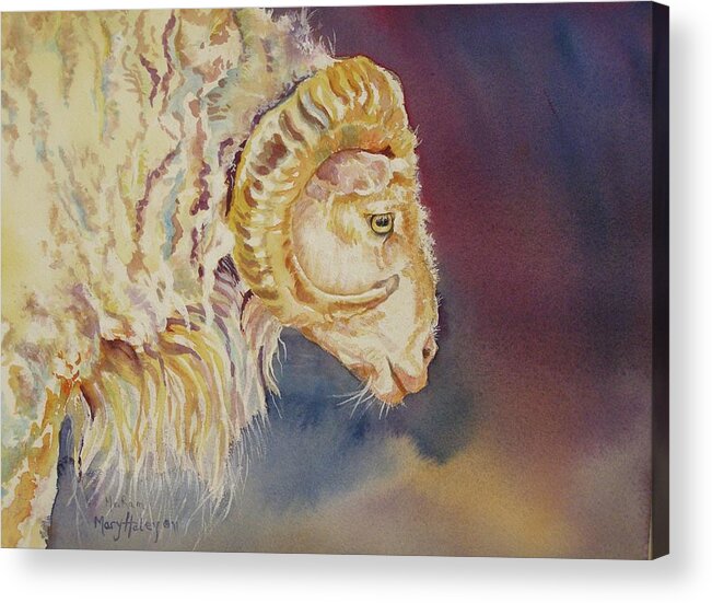 Ram Acrylic Print featuring the painting Mr. Ram by Mary Haley-Rocks