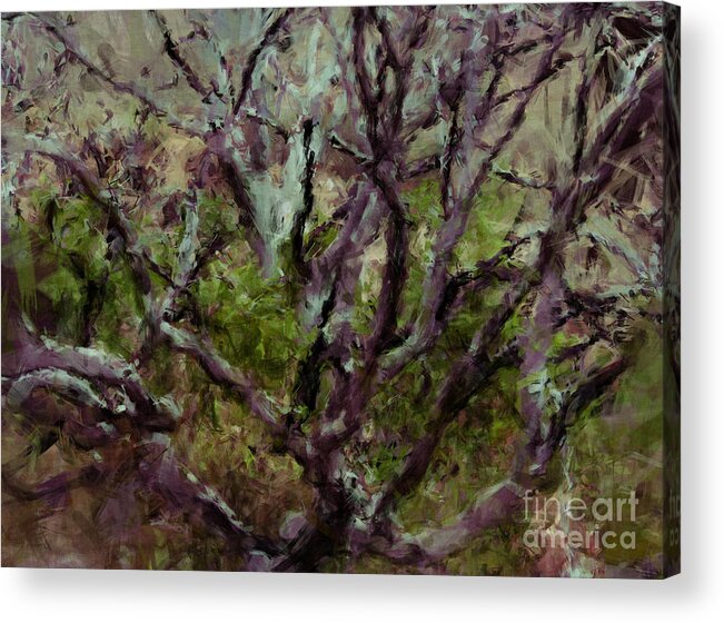 Tree Acrylic Print featuring the painting Painted Tree by Julie Lueders 