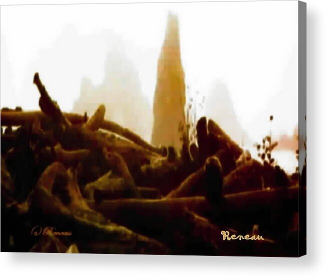 Driftwood Acrylic Print featuring the photograph Phallic Pile Up by A L Sadie Reneau