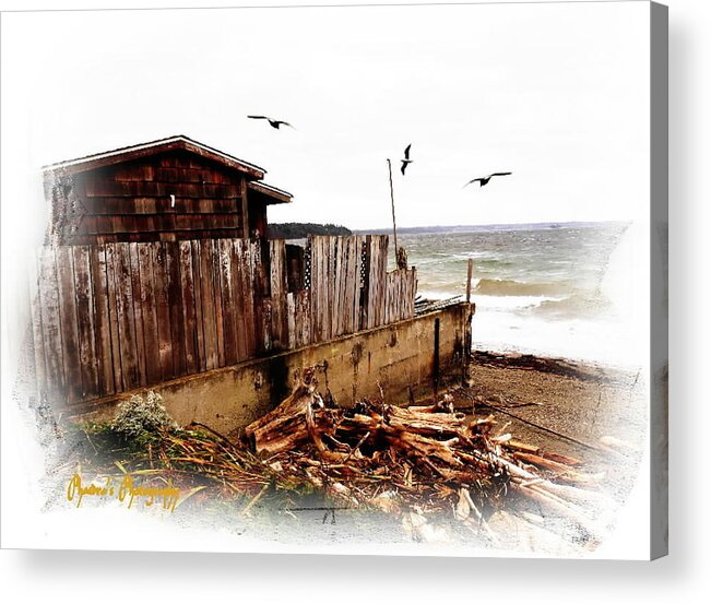 Cabin Acrylic Print featuring the photograph Sea Shanty by A L Sadie Reneau