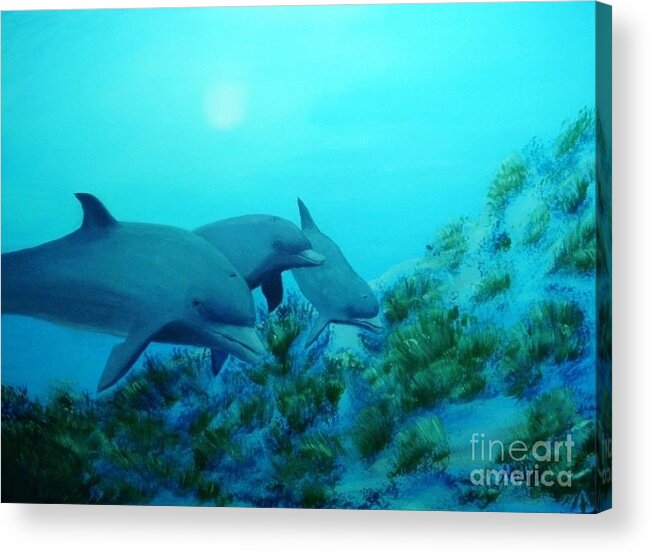 Dolphins Acrylic Print featuring the painting Search Party by Peggy Miller