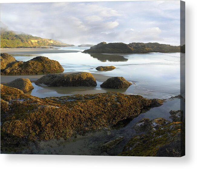 00175330 Acrylic Print featuring the photograph Low Tide at Neptune Beach by Tim Fitzharris