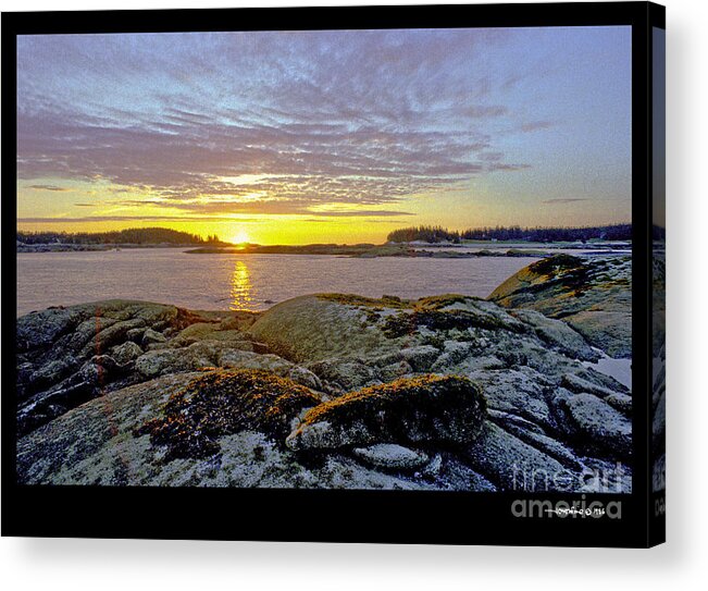 Maine Acrylic Print featuring the photograph Seaweed Sunrise by Jonathan Fine